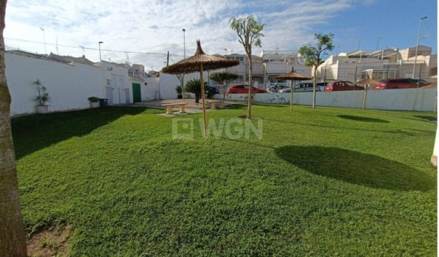 Resale - Apartment / flat - Torrevieja - Los Balcones