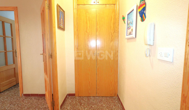 Wiederverkauf - Wohnung - Torrevieja - Acequion