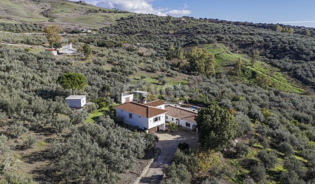 Odsprzedaż - Villa - Periana - Inland