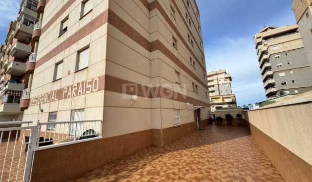 Resale - Apartment / flat - Torrevieja - Costa Blanca
