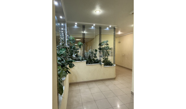 Resale - Apartment / flat - Torrevieja - Costa Blanca