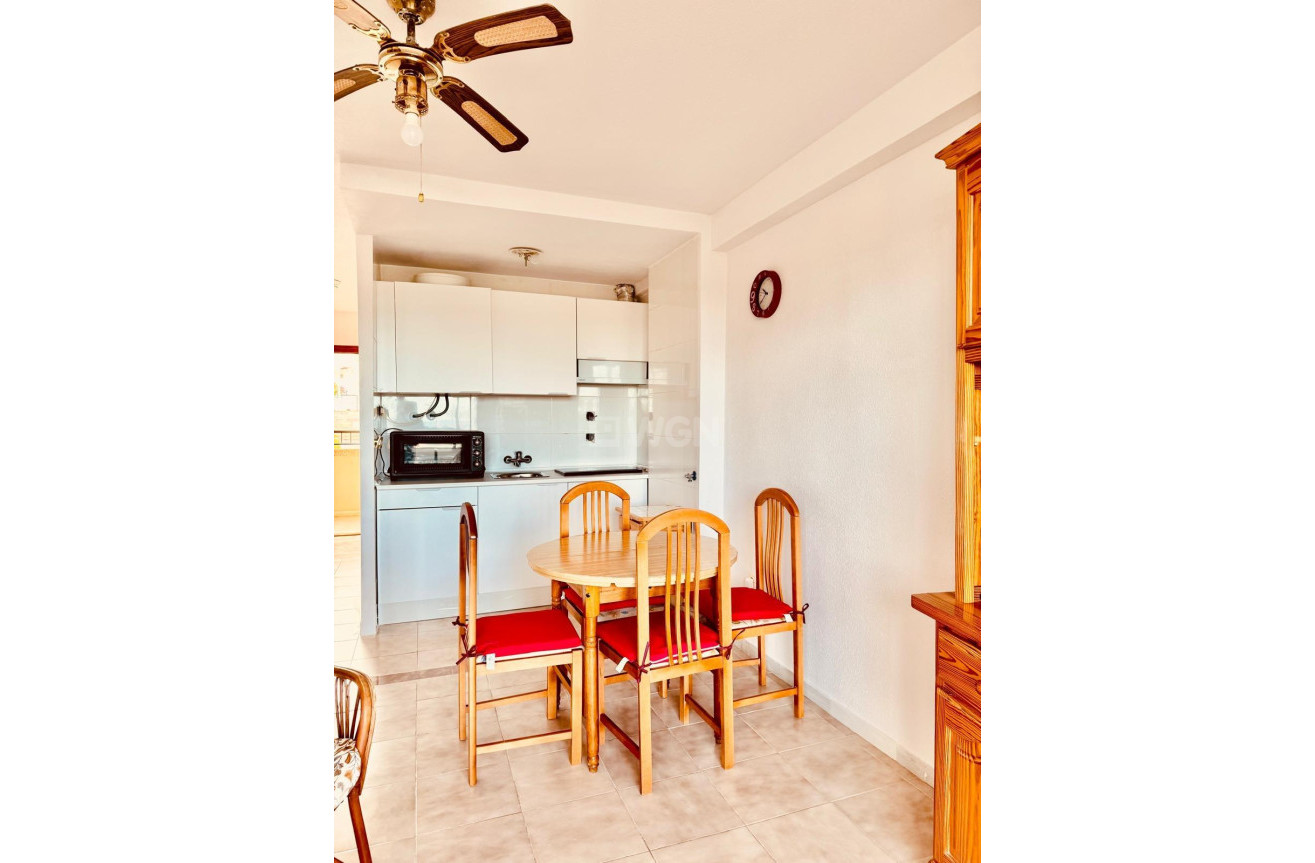 Odsprzedaż - Mieszkanie w bloku - Torrevieja - Cabo Cervera