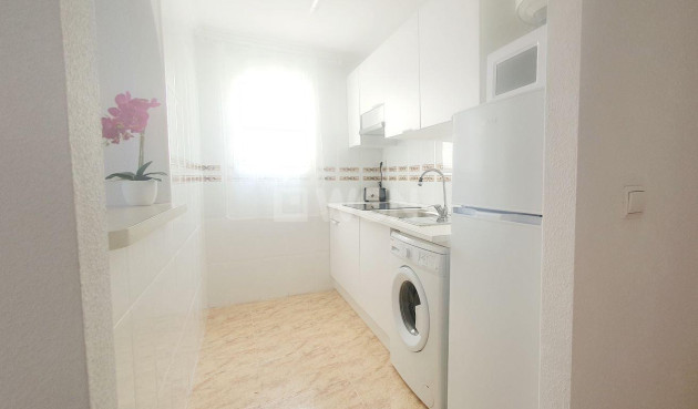 Odsprzedaż - Daszek - Torrevieja - Estacion De Autobuses