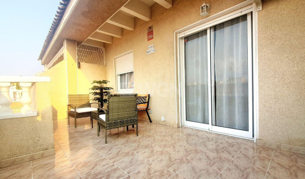 Odsprzedaż - Daszek - Torrevieja - Estacion De Autobuses