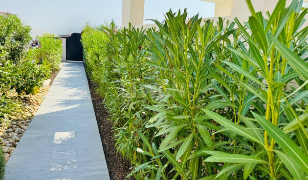 Odsprzedaż - Villa - Algorfa - Club De Golf La Finca