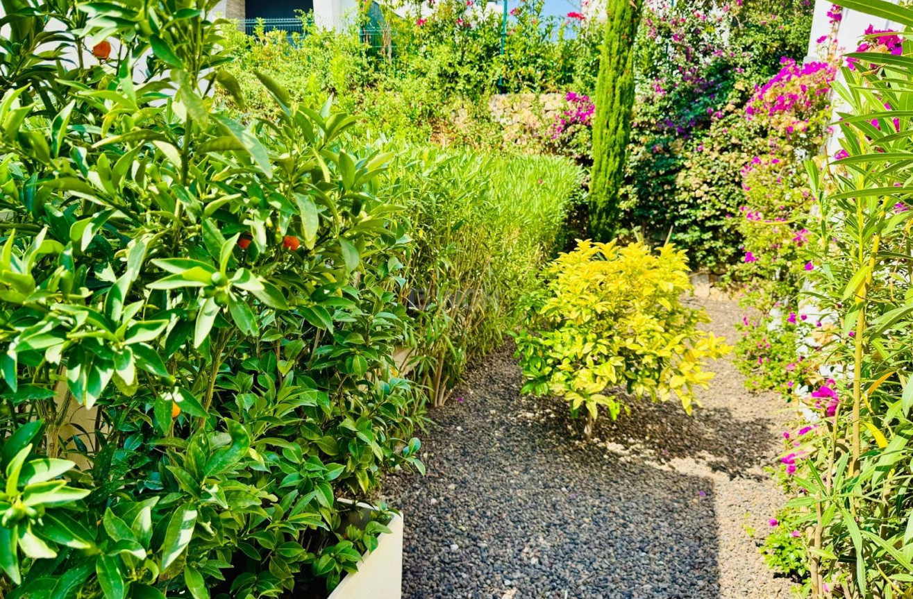 Odsprzedaż - Villa - Algorfa - Club De Golf La Finca