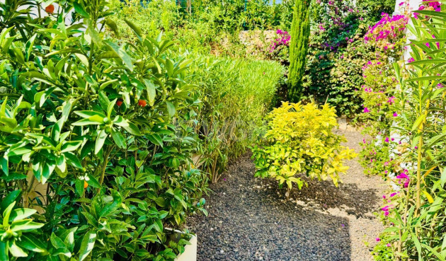 Odsprzedaż - Villa - Algorfa - Club De Golf La Finca