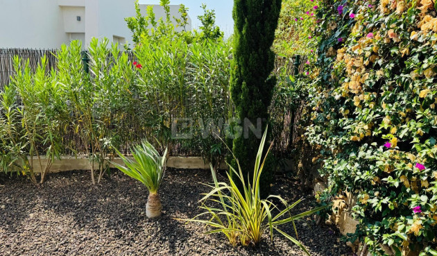 Odsprzedaż - Villa - Algorfa - Club De Golf La Finca