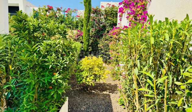 Odsprzedaż - Villa - Algorfa - Club De Golf La Finca