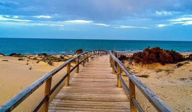 Odsprzedaż - Villa - Algorfa - Club De Golf La Finca