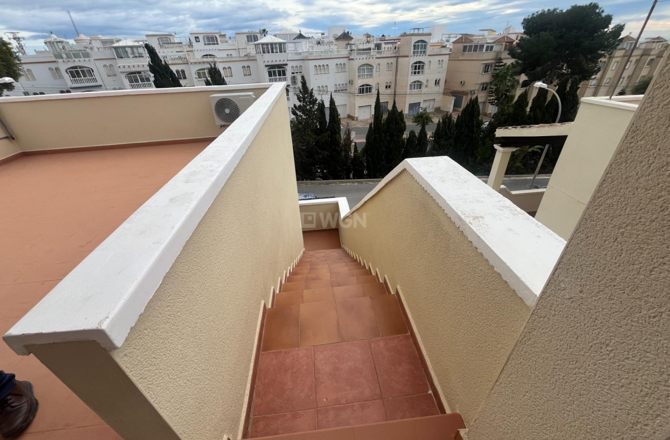 Odsprzedaż - Dupleks - San Miguel de Salinas - Las Filipinas