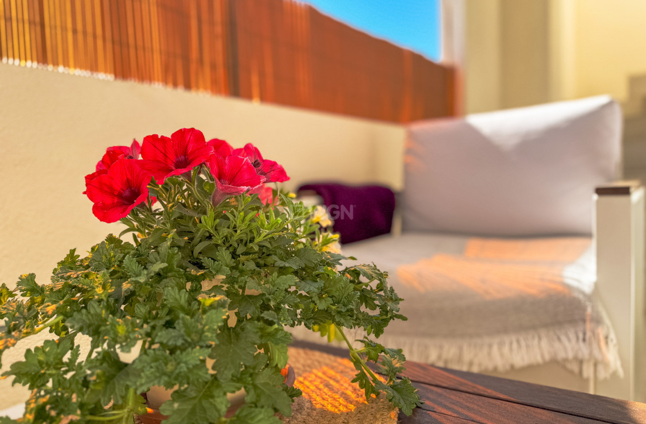 Odsprzedaż - Bungalow - Los Altos - Costa Blanca