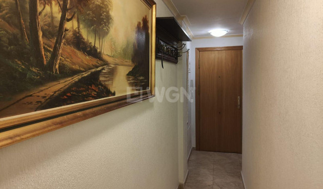 Odsprzedaż - Mieszkanie w bloku - Torrevieja - La Mata