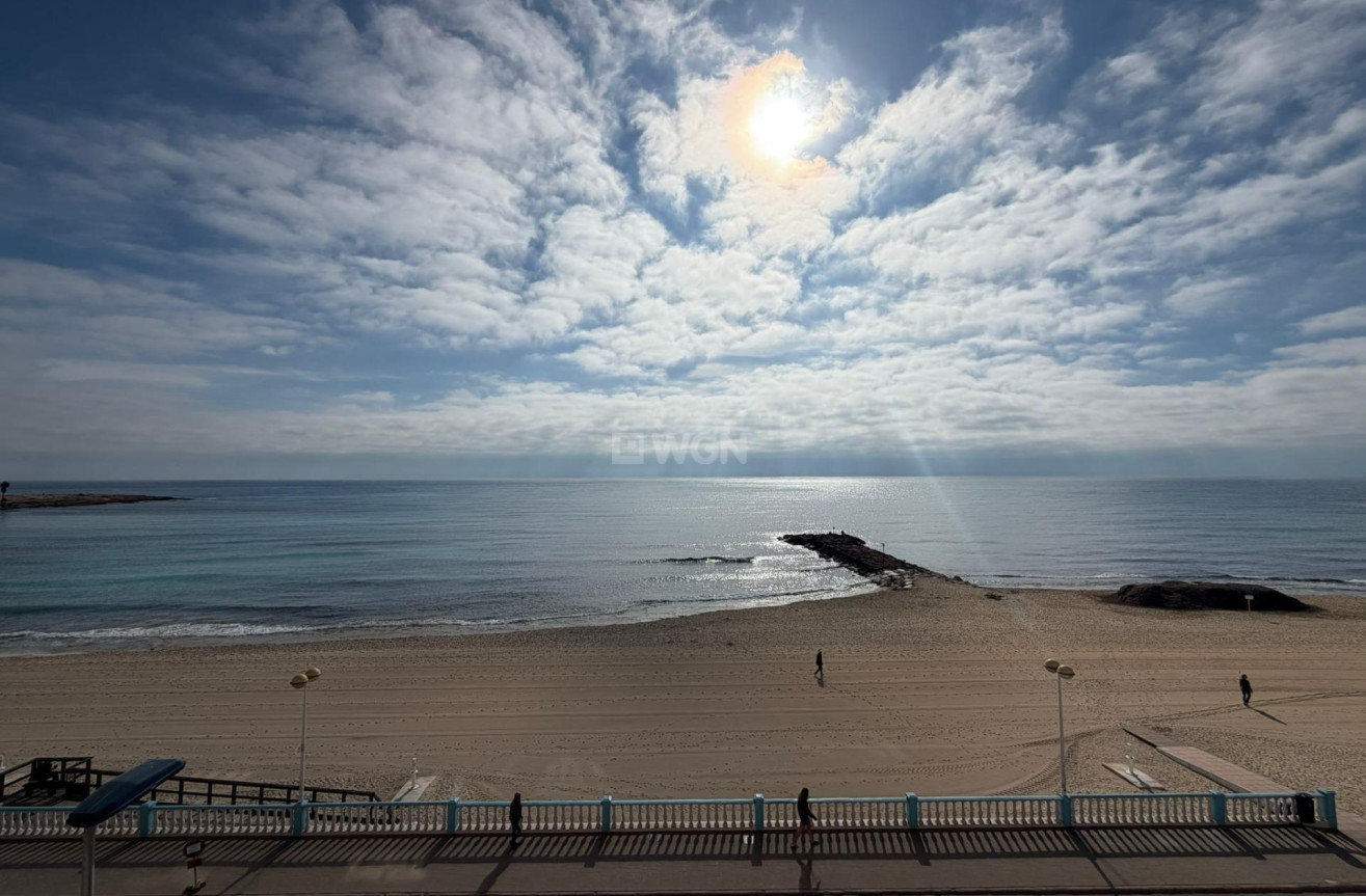Odsprzedaż - Mieszkanie w bloku - Torrevieja - Playa de los Locos