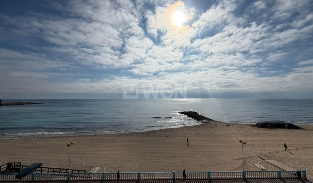 Odsprzedaż - Mieszkanie w bloku - Torrevieja - Playa de los Locos
