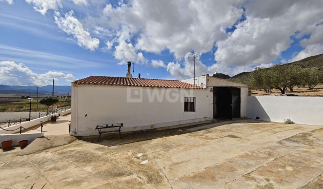 Odsprzedaż - Kamienica - Yecla - Inland