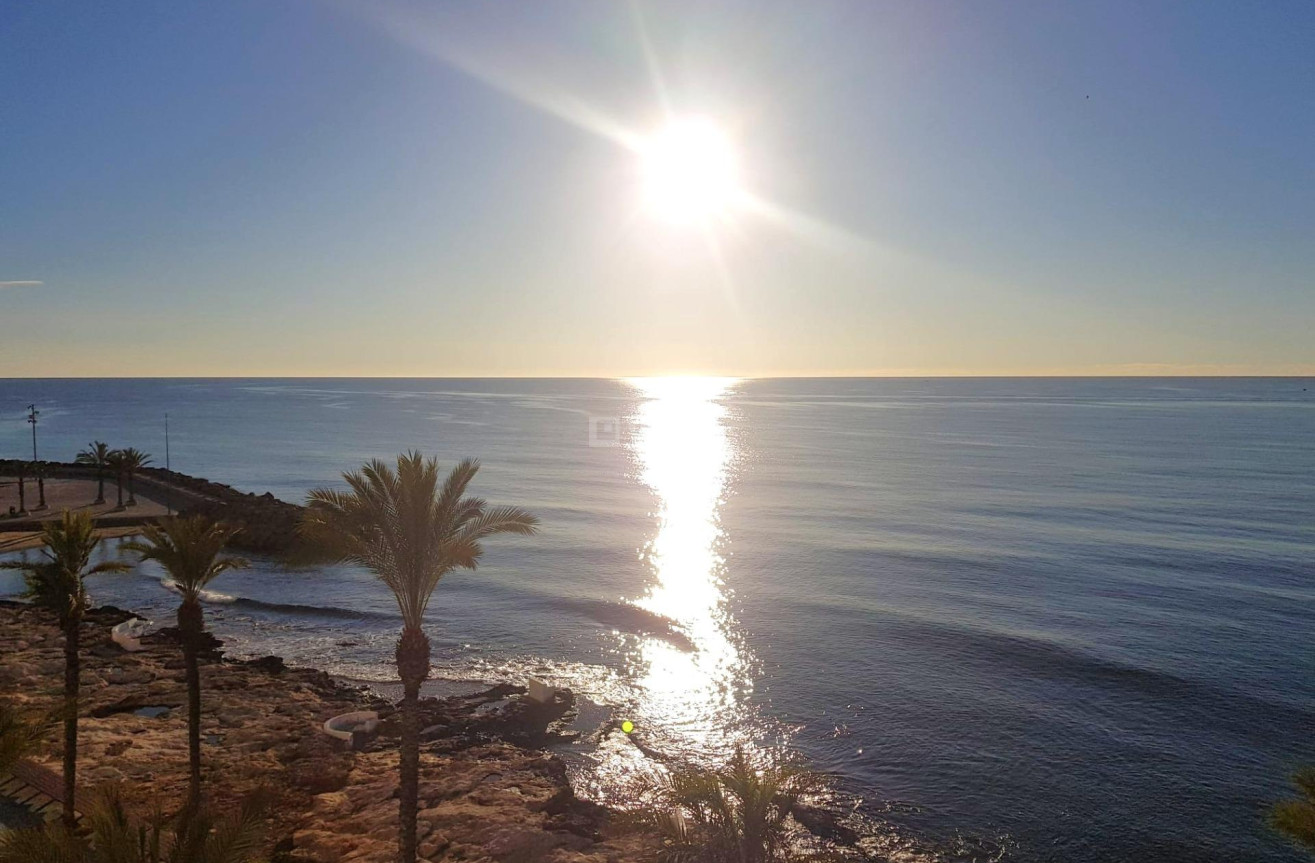 Reventa - Apartamento / piso - Torrevieja - Estacion De Autobuses