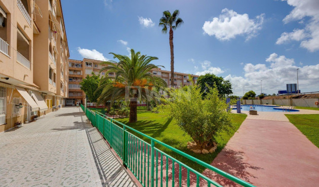 Odsprzedaż - Daszek - Torrevieja - Centro