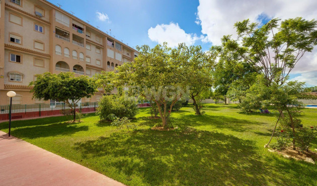 Odsprzedaż - Daszek - Torrevieja - Centro