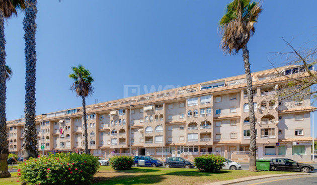 Odsprzedaż - Daszek - Torrevieja - Centro