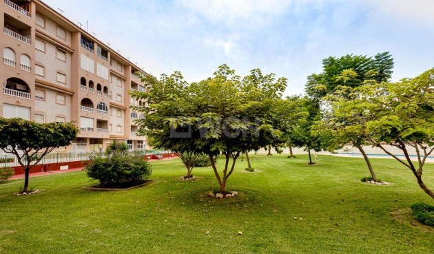 Odsprzedaż - Daszek - Torrevieja - Centro