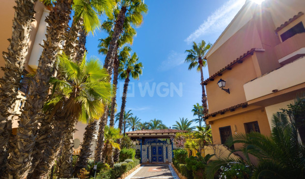 Reventa - Apartamento / piso - Torrevieja - Playa de los Locos