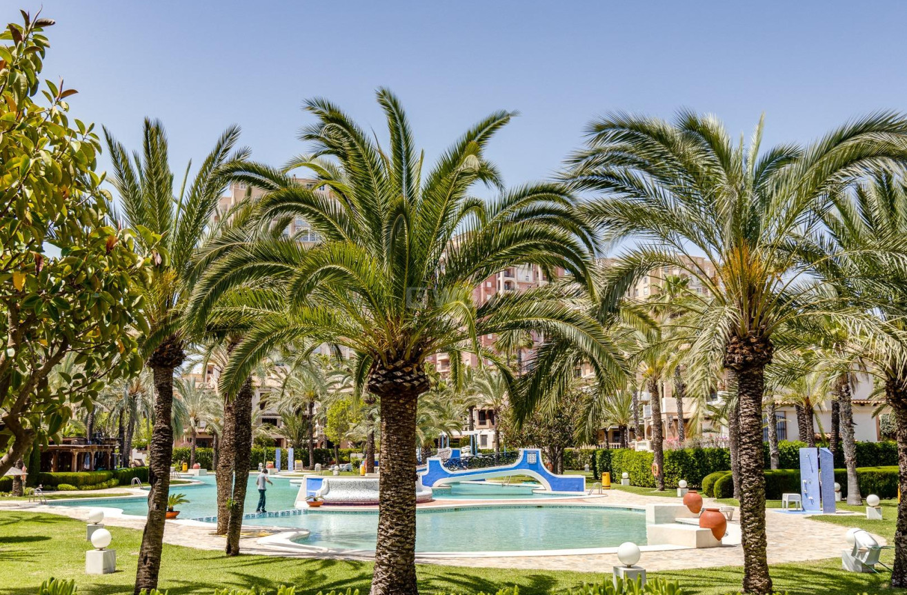 Reventa - Apartamento / piso - Torrevieja - Playa de los Locos