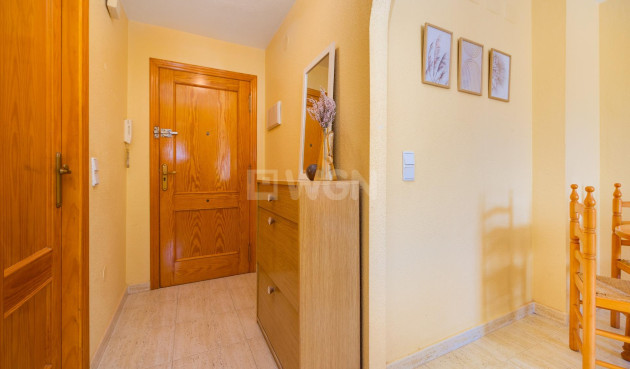 Odsprzedaż - Mieszkanie w bloku - Torrevieja - Playa del Cura