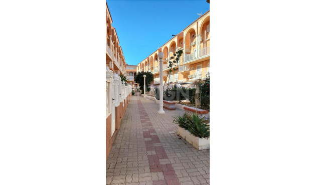 Odsprzedaż - Mieszkanie w bloku - Torrevieja - Gaspar Perrelló