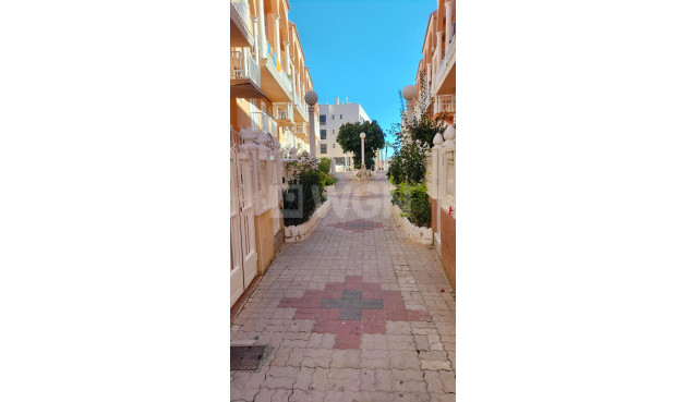 Odsprzedaż - Mieszkanie w bloku - Torrevieja - Gaspar Perrelló