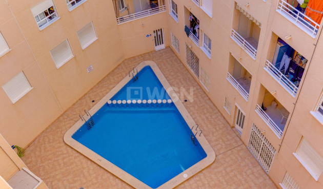 Odsprzedaż - Mieszkanie w bloku - Torrevieja - Estacion De Autobuses