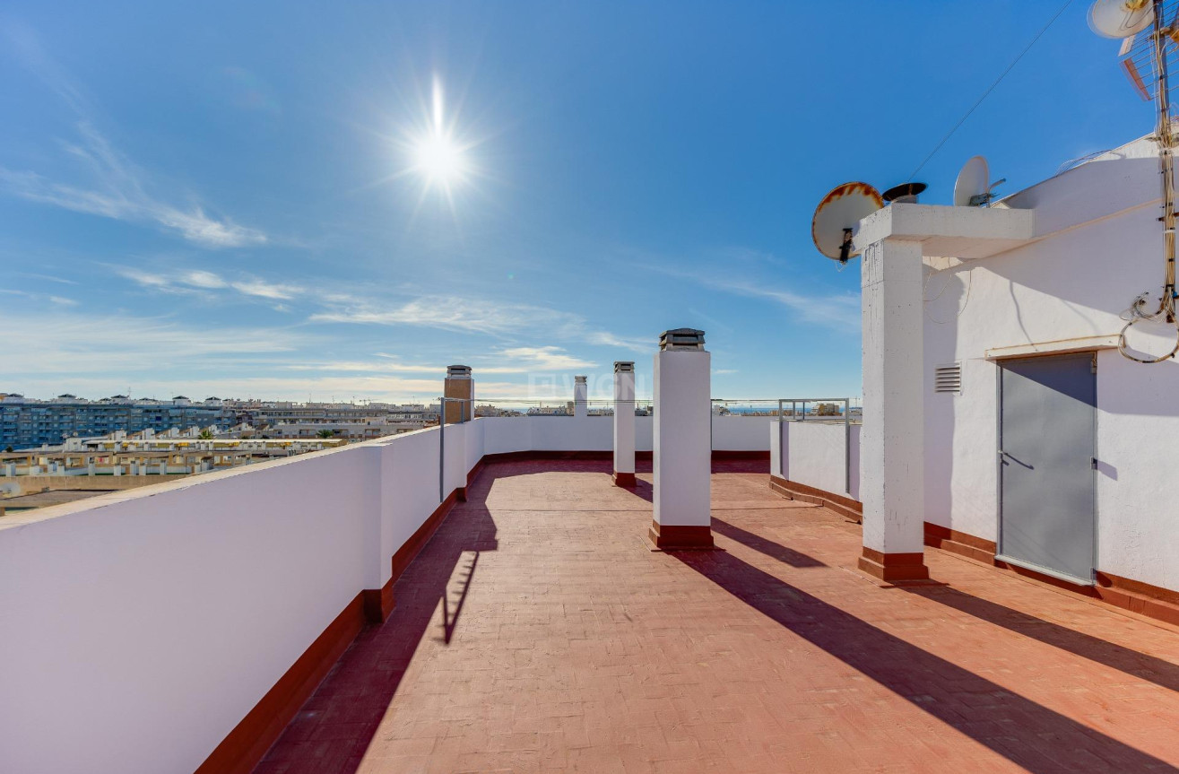 Odsprzedaż - Mieszkanie w bloku - Torrevieja - Estacion De Autobuses