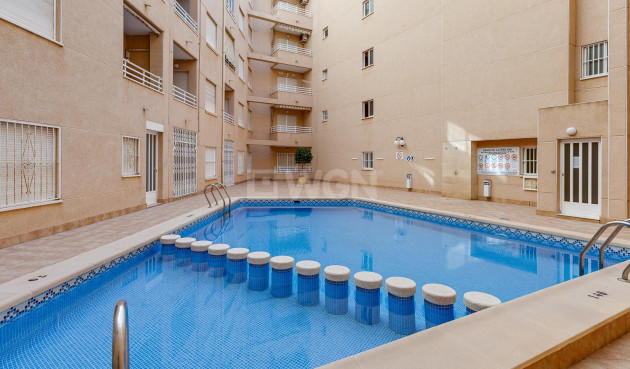 Odsprzedaż - Mieszkanie w bloku - Torrevieja - Estacion De Autobuses