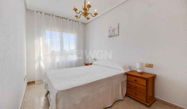 Odsprzedaż - Mieszkanie w bloku - Torrevieja - Estacion De Autobuses