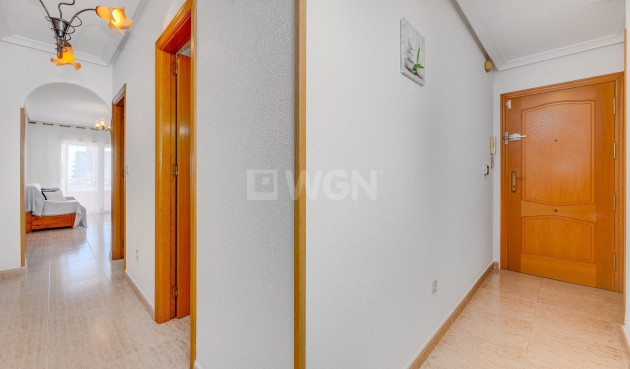 Odsprzedaż - Mieszkanie w bloku - Torrevieja - Estacion De Autobuses