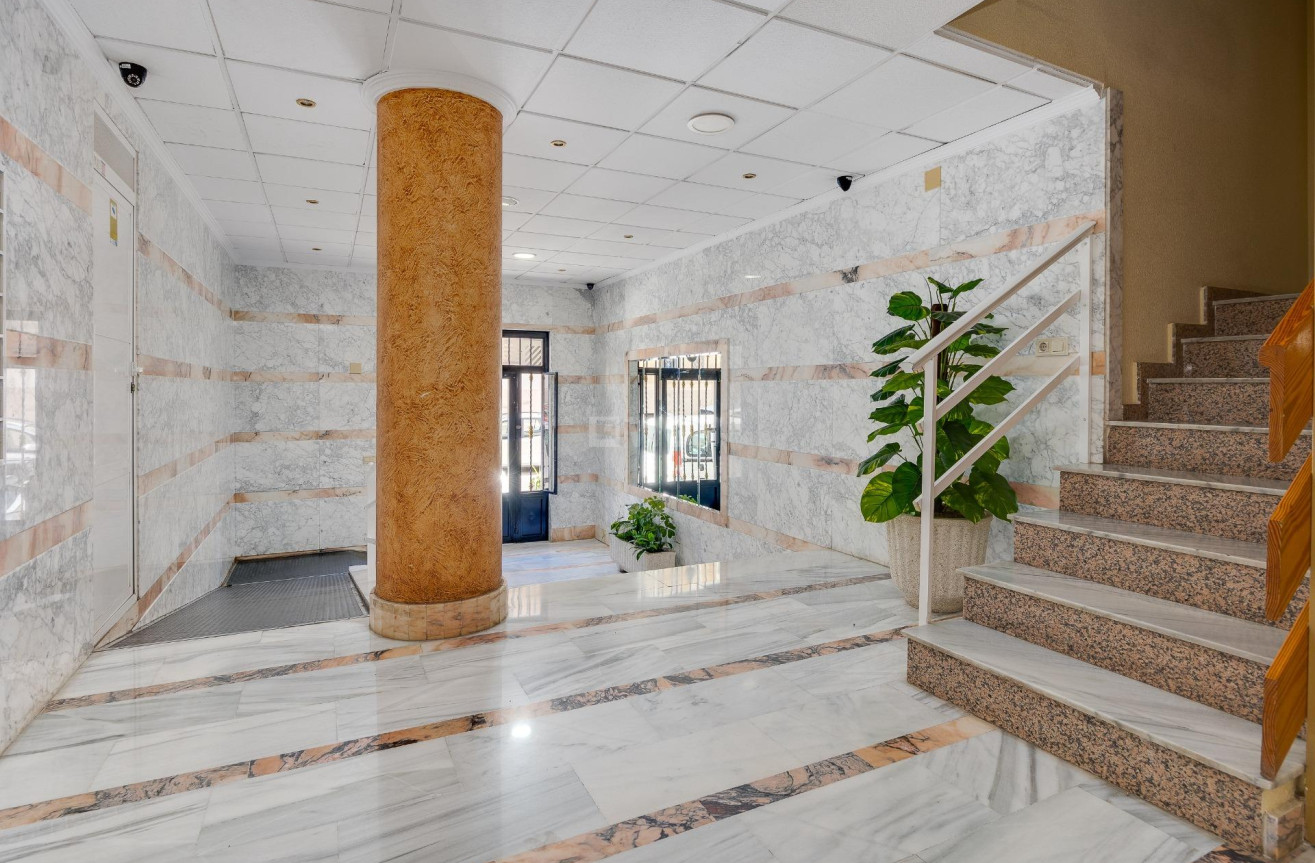 Odsprzedaż - Mieszkanie w bloku - Torrevieja - Estacion De Autobuses