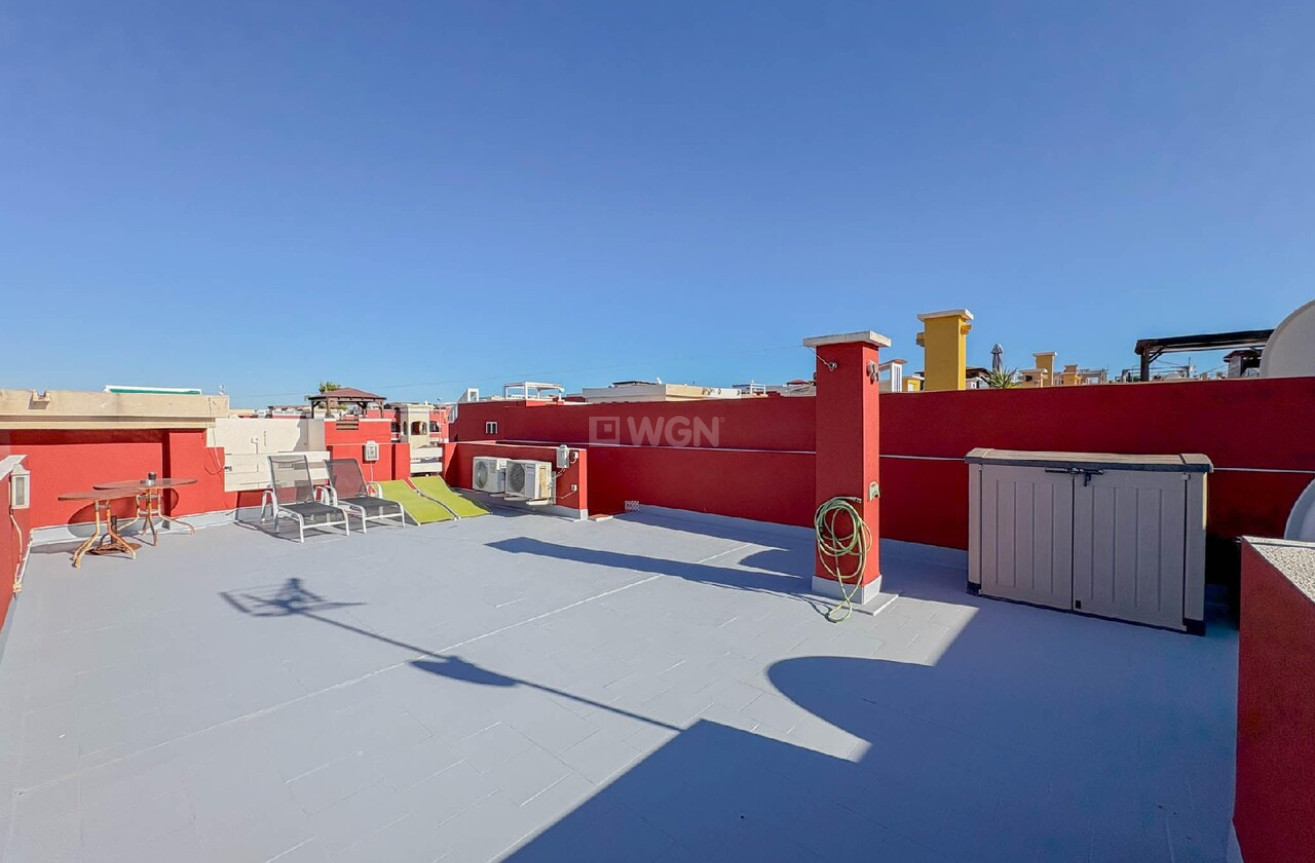 Odsprzedaż - Mieszkanie w bloku - Torrevieja - Costa Blanca