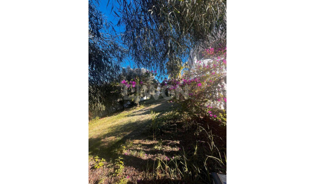 Odsprzedaż - Villa - Rojales - La Marquesa