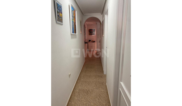 Odsprzedaż - Daszek - Torrevieja - Estacion De Autobuses