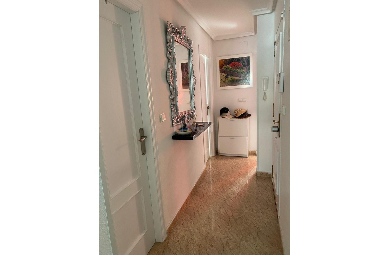 Odsprzedaż - Daszek - Torrevieja - Estacion De Autobuses