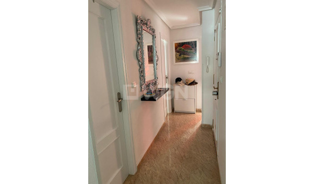 Odsprzedaż - Daszek - Torrevieja - Estacion De Autobuses