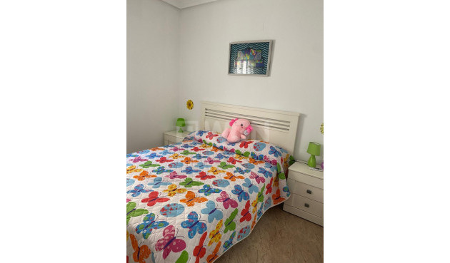 Odsprzedaż - Daszek - Torrevieja - Estacion De Autobuses