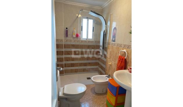 Odsprzedaż - Daszek - Torrevieja - Estacion De Autobuses