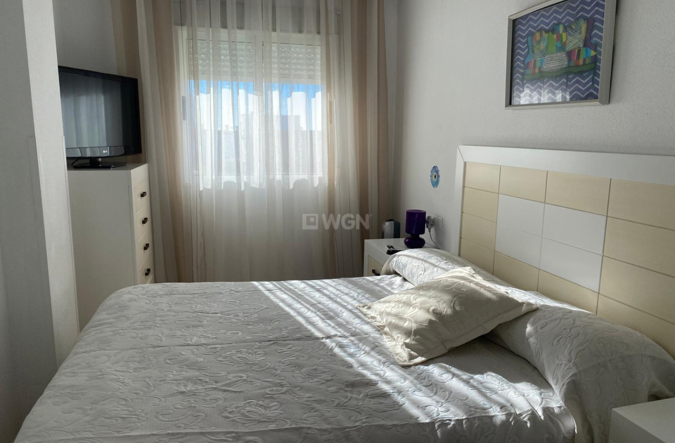 Odsprzedaż - Daszek - Torrevieja - Estacion De Autobuses