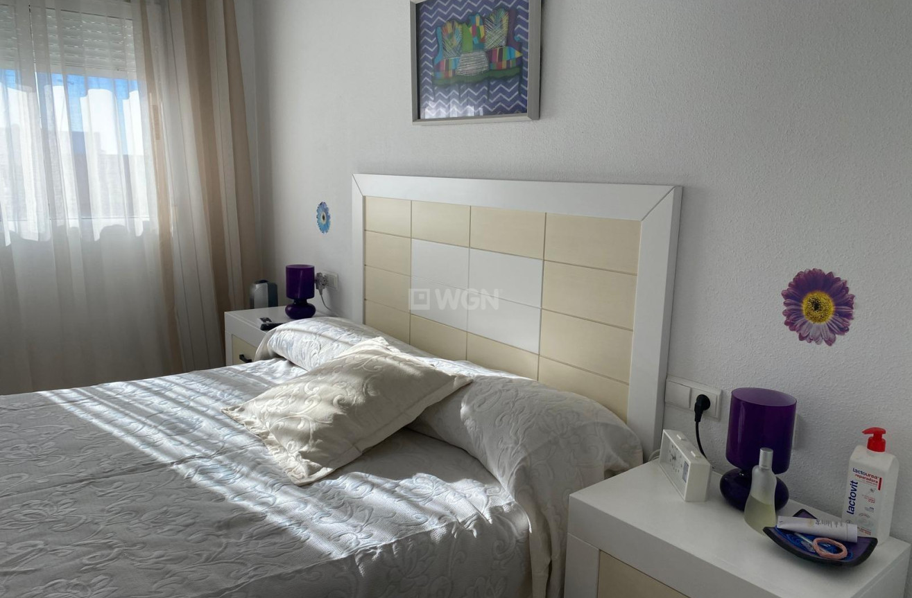 Odsprzedaż - Daszek - Torrevieja - Estacion De Autobuses