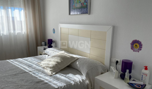 Odsprzedaż - Daszek - Torrevieja - Estacion De Autobuses