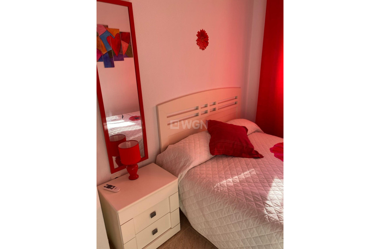 Odsprzedaż - Daszek - Torrevieja - Estacion De Autobuses