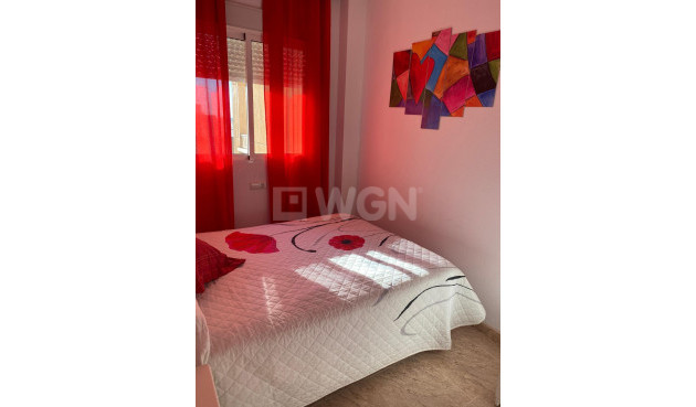 Odsprzedaż - Daszek - Torrevieja - Estacion De Autobuses