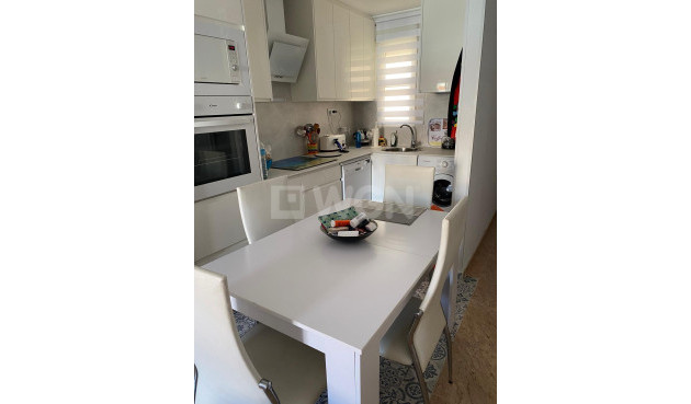 Odsprzedaż - Daszek - Torrevieja - Estacion De Autobuses