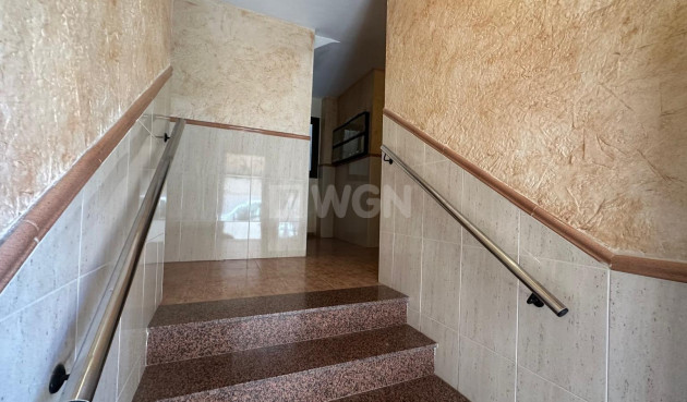 Odsprzedaż - Mieszkanie w bloku - Torrevieja - Estacion De Autobuses